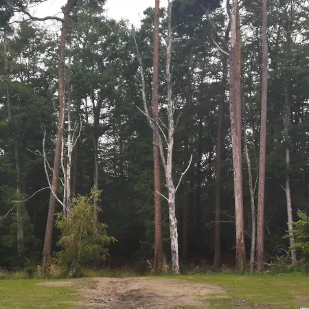 Og Kuestenwald Lejlighed Graal-Mueritz
