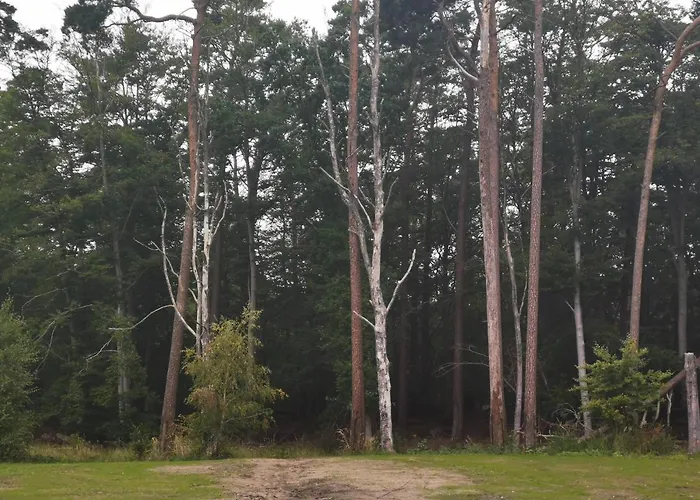 Og Kuestenwald דירה גראל-מוריץ